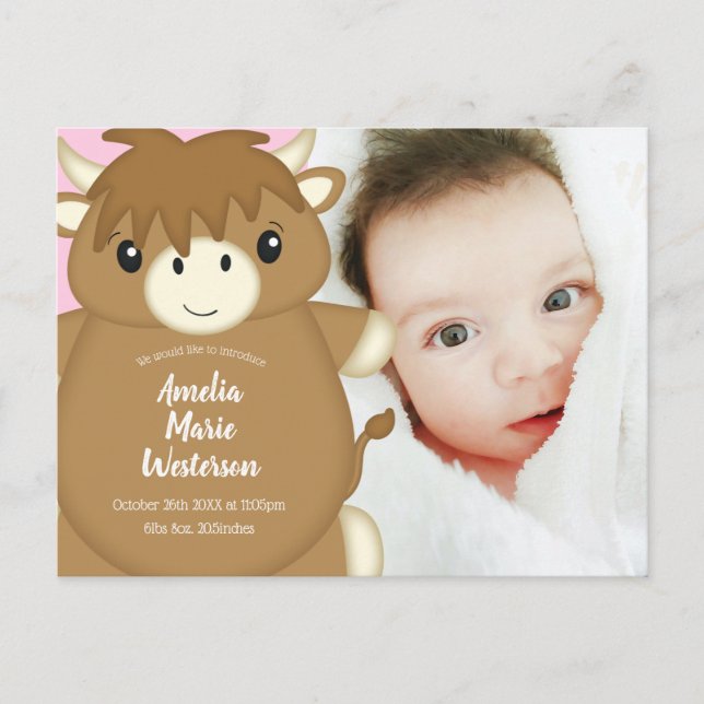 Carte Postale Scottish Highland Baby shower de vache rose (Devant)