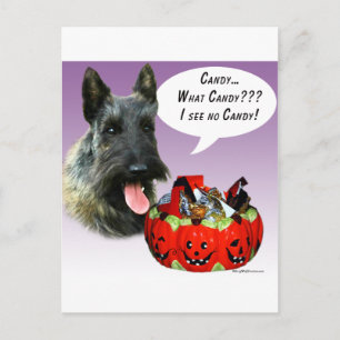 Carte Postale Scottish Terrier Halloween Candy