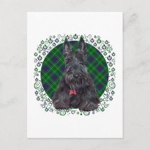 Carte Postale Scottish terrier on tartan