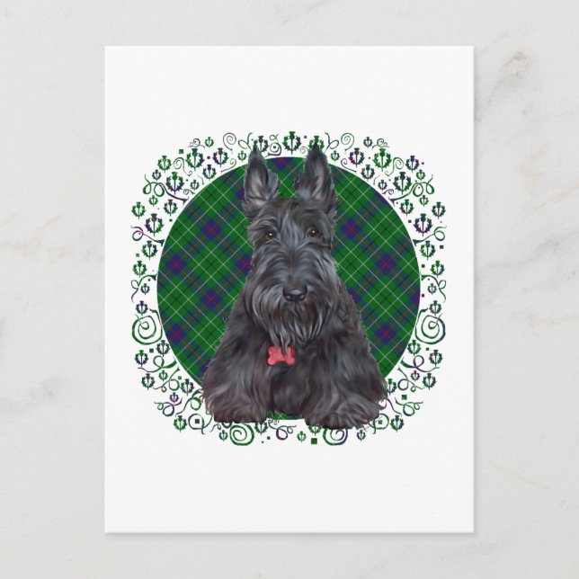 Carte Postale Scottish terrier on tartan (Devant)