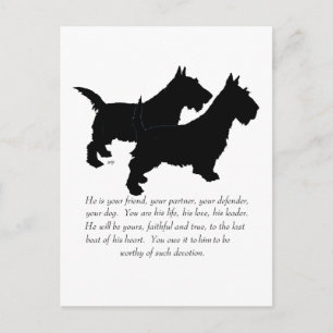 Carte Postale Scottish Terriers Cadeau - Chiens MÂLES