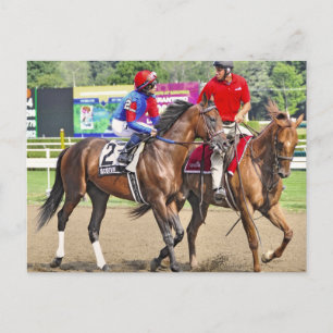 Carte Postale Scotus par Appel-Divin Réussi