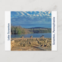 Scranton PA-Lake Scranton Post Card-Ducks