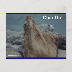 Carte Postale Sea Lion - Chin Up! -Carte postale