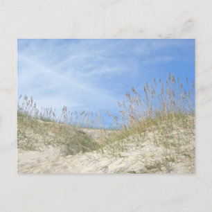 Carte Postale Sea Oats Outer Banks série NC