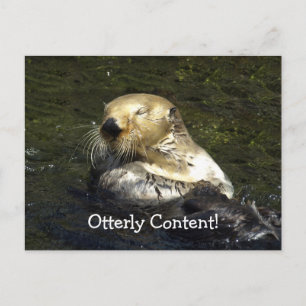 Carte postale Sea Otter