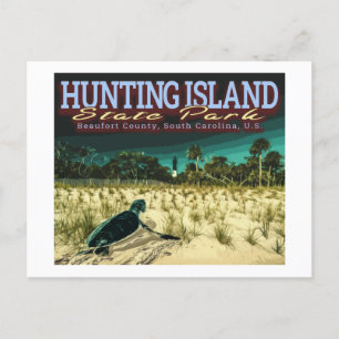 CARTE POSTALE SEA TURTLE - HUNTING ISLAND - SOUTH CAROLINA US