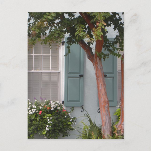 Carte Postale Seagreen Shutters (Devant)