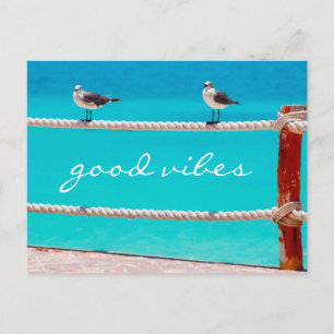 Carte Postale Seagull plage oiseaux photo bonne viole script cit