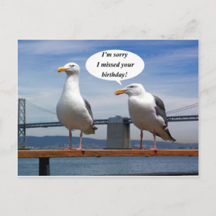 Carte Postale Seagulls talking