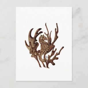 Carte Postale Seahorse