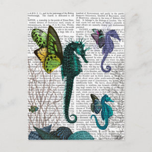 Carte Postale Seahorse Trio Avec Ailes