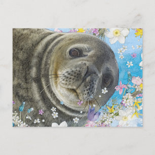 Carte Postale Sealion de conte de Fairytale dans l'océan des fle