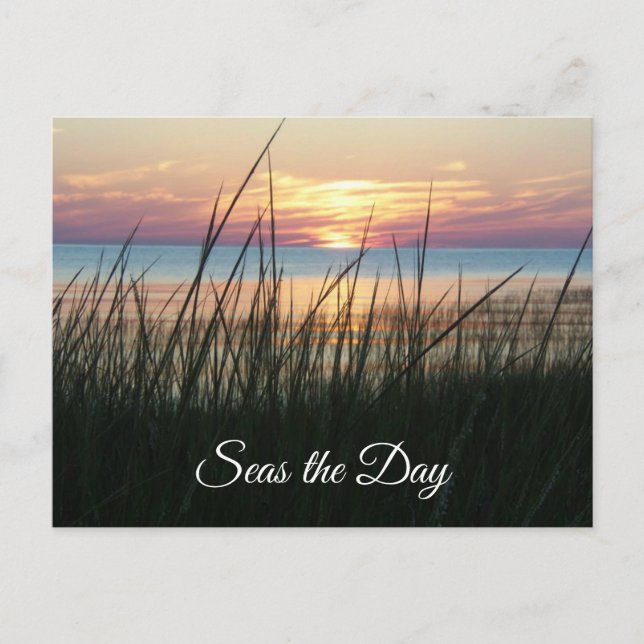 Carte Postale Seas the Day, Citation encourageante (Devant)