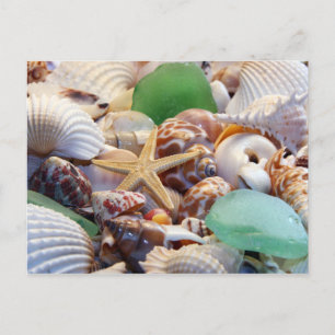 Carte postale Seashfish Starfish & Beach Glass