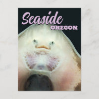 Seaside, Oregon Skate Animal