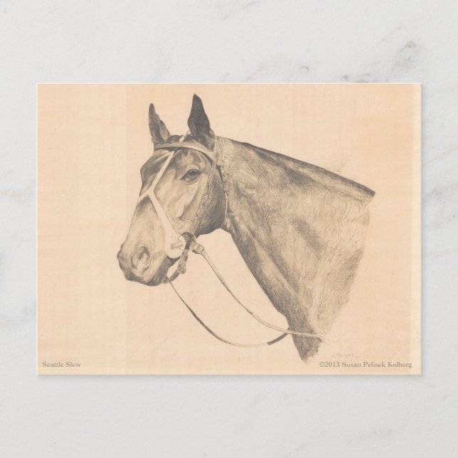 Carte Postale Seattle Slew par Susan Pelisek Kolberg (Devant)