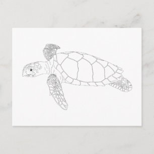 Carte postale Seaturte Adult Coloring