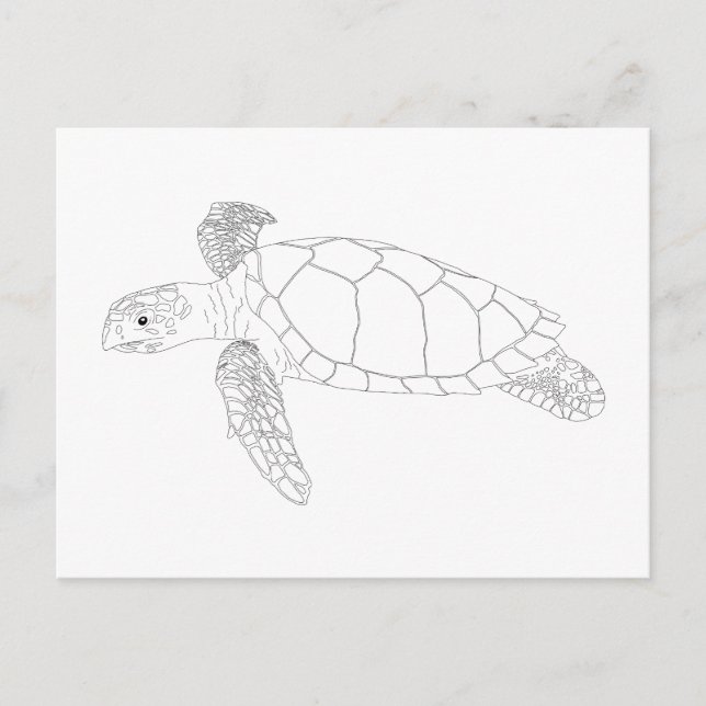Carte postale Seaturte Adult Coloring (Devant)