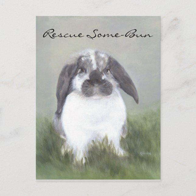 Carte postale Secourt lapin (Devant)