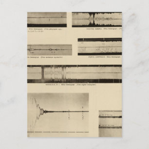 Carte Postale Seismogrammes californiens 2