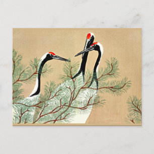 Carte Postale Sekka - Grues de Momoyogusa