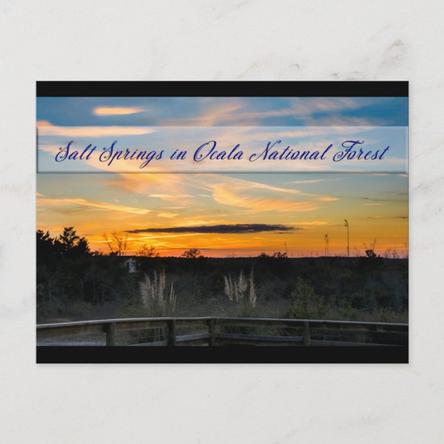 Carte postale Sel Springs (Devant)