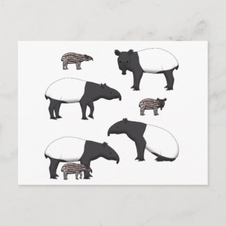 Carte Postale Sélection de Schabrackentapir