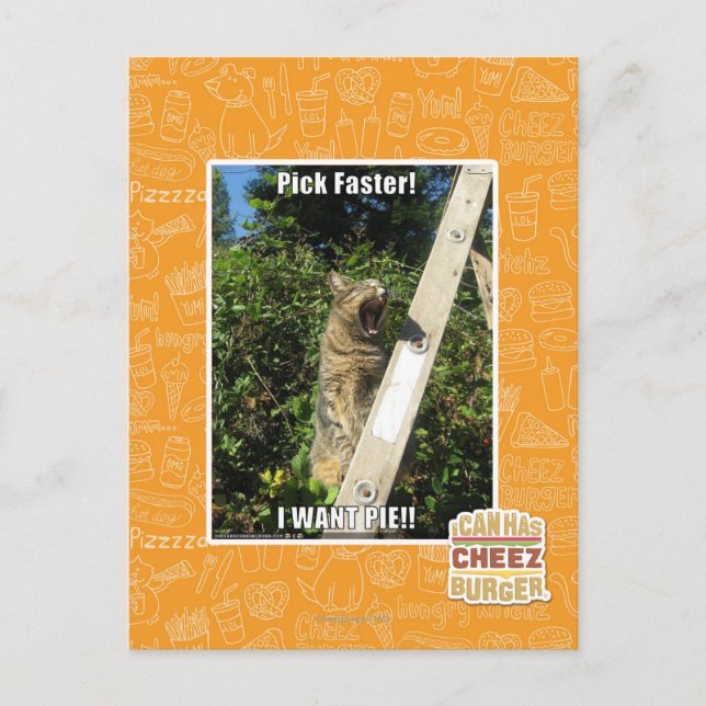 Carte Postale Sélection plus rapidement ! (Devant)