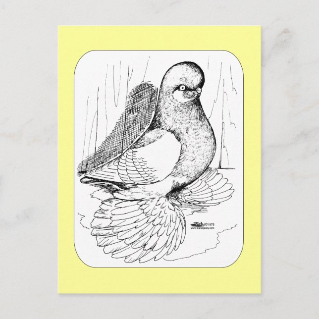 Carte Postale Selle à tambour bouffée 1978 (Devant)