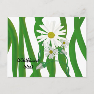 Carte Postale Semaine de la Fleur Sauvage Marguerite