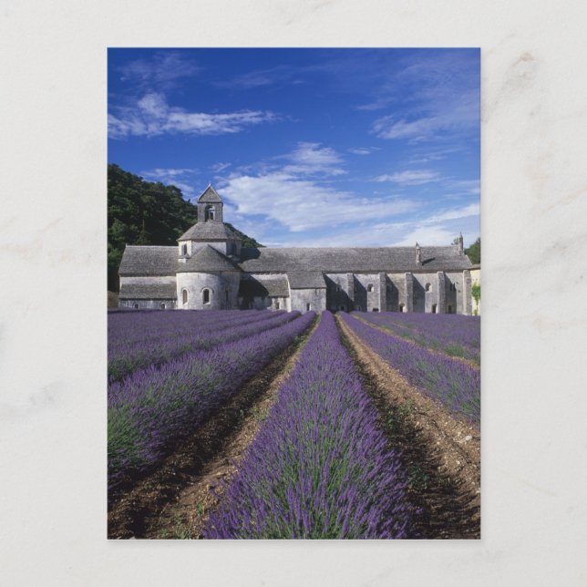 Carte Postale Senanque Abbey, Gordes, Vaucluse, Provence, (Devant)