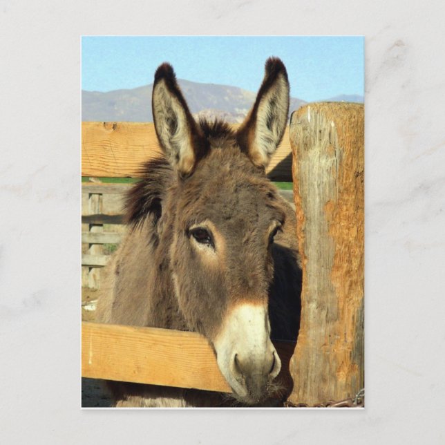 Carte Postale Seno Burro (Devant)
