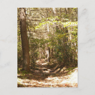 Carte Postale sentier appalachien pennsylvanie