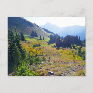 Carte Postale Sentier de Hurricane Ridge