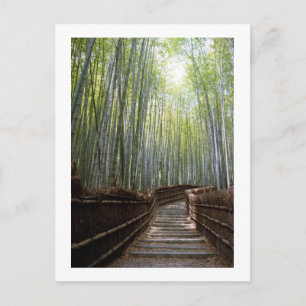 Carte Postale Sentier de la forêt de bambou : Sagano, Kyoto