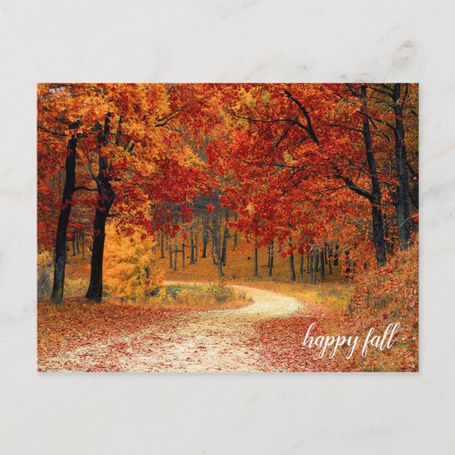 Carte Postale Sentier de la nature aux arbres d'automne orange e (Devant)