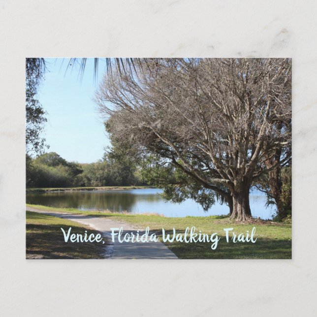 Carte Postale Sentier de marche Venise Floride photographie de l (Devant)