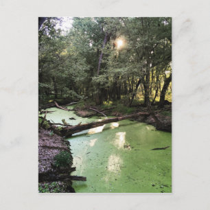 Carte Postale sentier du point de sable