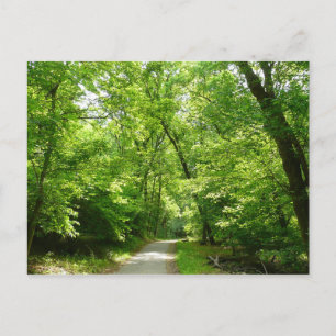 Carte Postale Sentier Grist Mill I