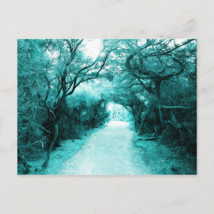 Carte Postale Sentier mystérieux, chemin au clair de lune, Arbre