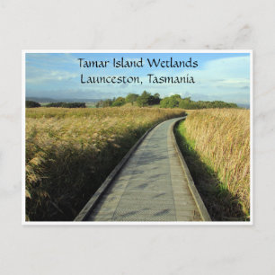 Carte Postale sentiers des terres humides tamiques