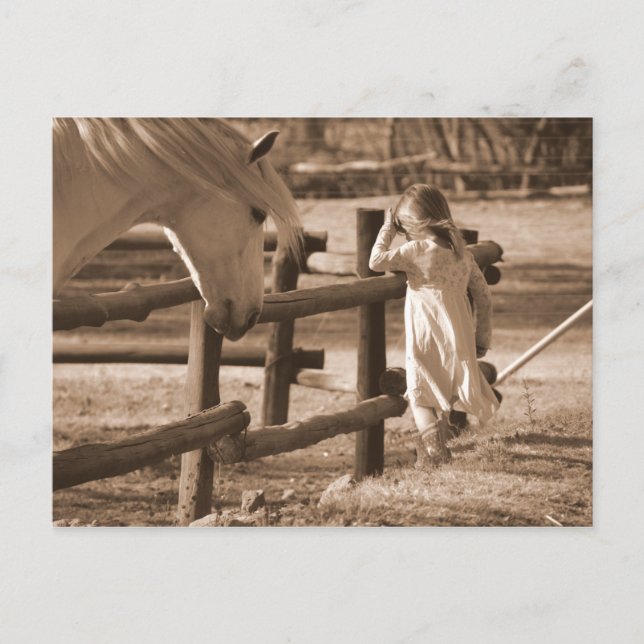 Carte Postale Sepia Cheval noir et blanc et enfant (Devant)