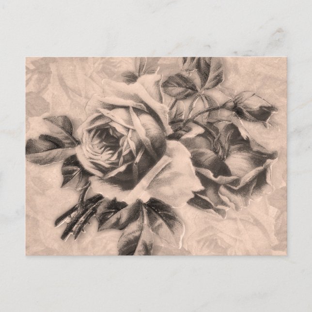 Carte Postale Sepia Rose vintage (Devant)