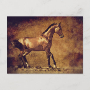 Carte Postale Sepia Toned Rustic Horse Art