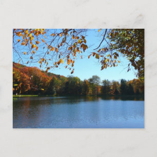 Carte Postale Sept Sources Chute Arbres et Étang