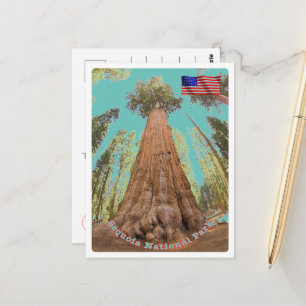 Carte Postale Sequoia - Général Sherman Tree - États-Unis -