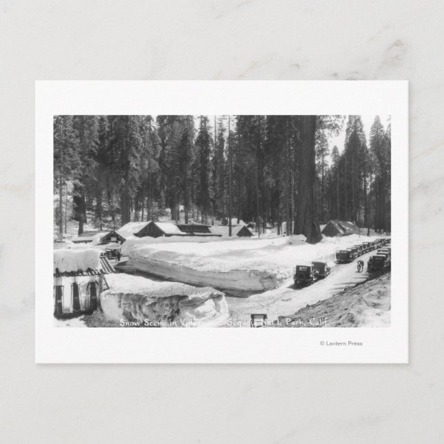 Carte Postale Sequoia National Park Snow Scene in Village (Devant)