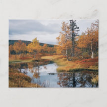 Sérénade d'automne Réflexions de Ruska finlandais