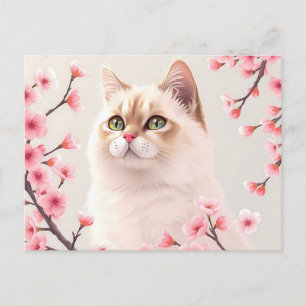 Carte Postale Serene Birman Portrait De Chat Avec Fleurs De Ceri